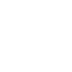 Weisdom Design Build